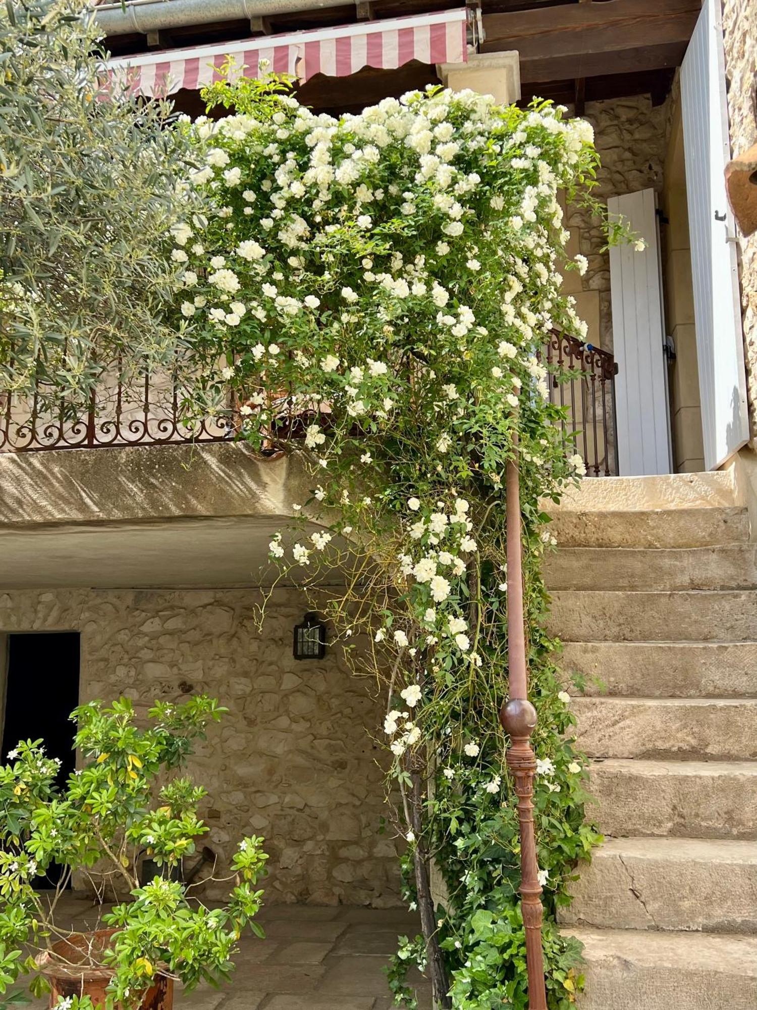 La Maison Des Autres, Piscine Chauffee, Chambres D'Hotes Proches Uzes, Nimes, Pont Du Gard Saint-Genies-de-Malgoires المظهر الخارجي الصورة